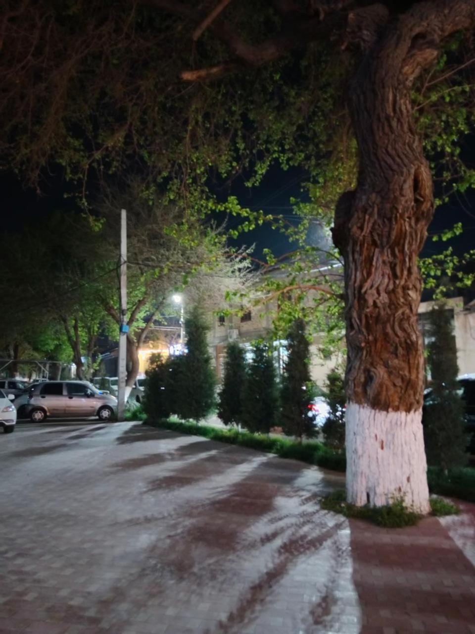Gulsara Hostel Szamarkand Kültér fotó
