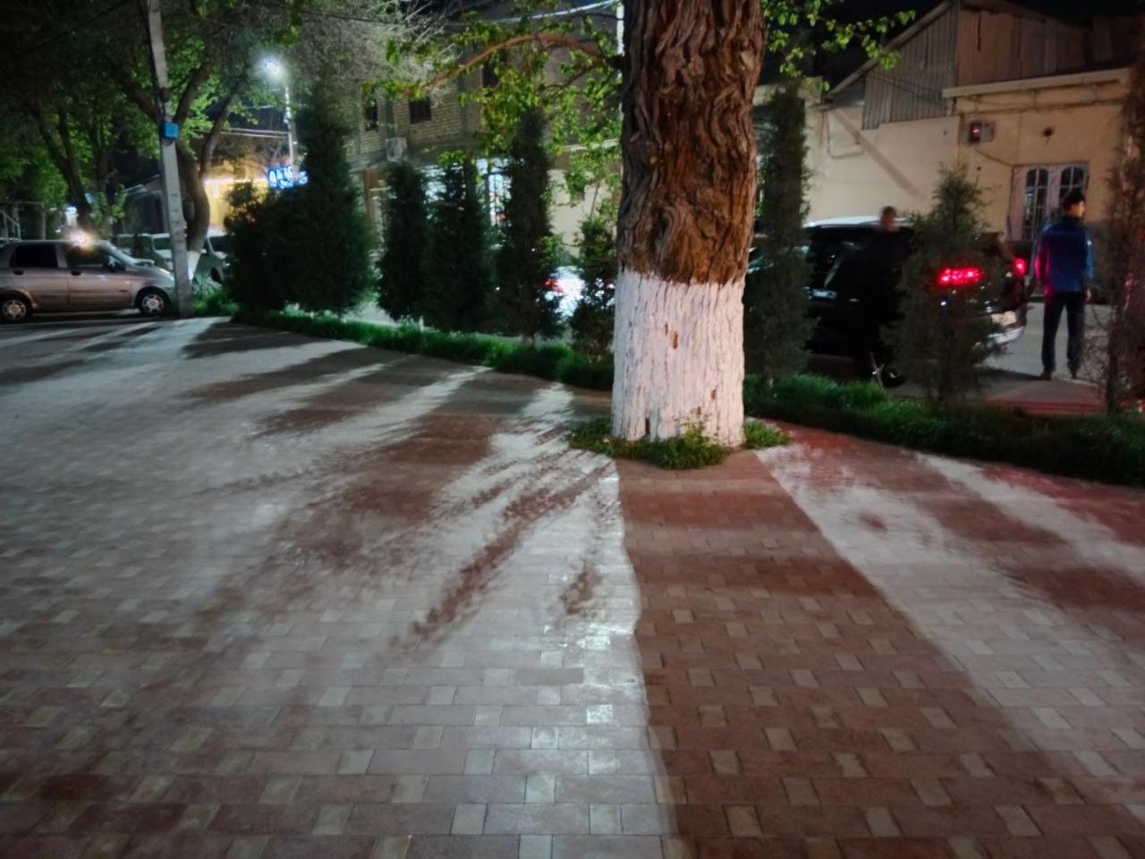 Gulsara Hostel Szamarkand Kültér fotó